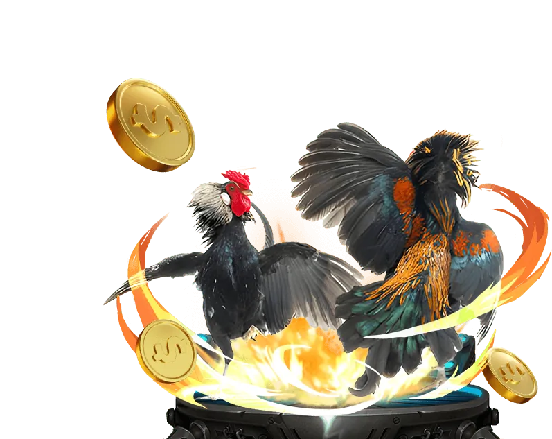 Cộng đồng người chơi ZingPlay đông đảo