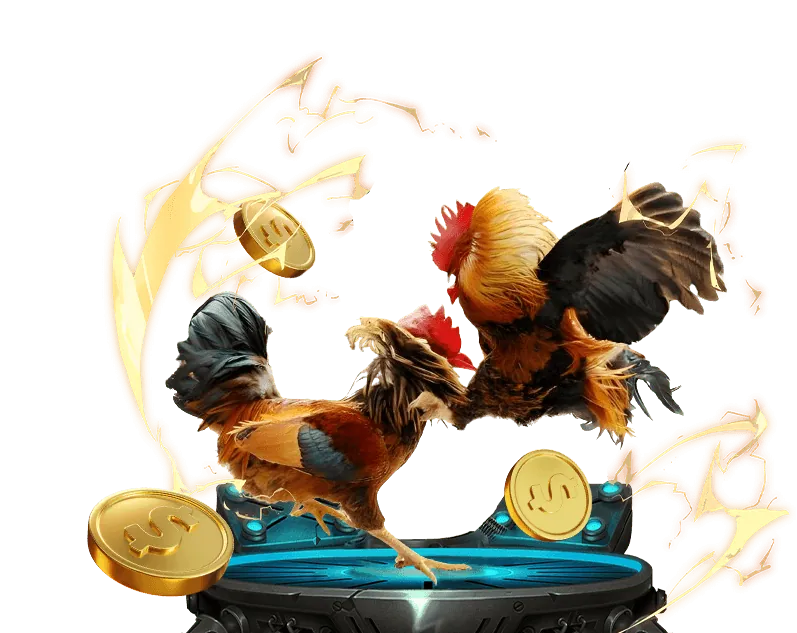 Tối ưu hóa trải nghiệm ZingPlay